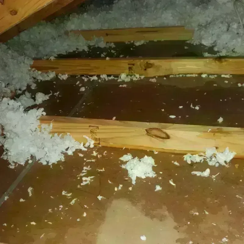 Attic Water Damage in Goldendale, WA